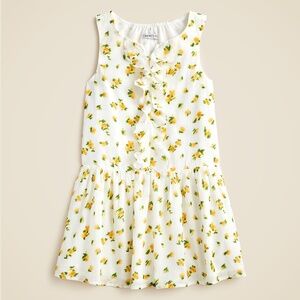 New CREWCUTS Girls Size 10 Drop-Waist Ruffle Dress in Blurry Rose $69 CG957